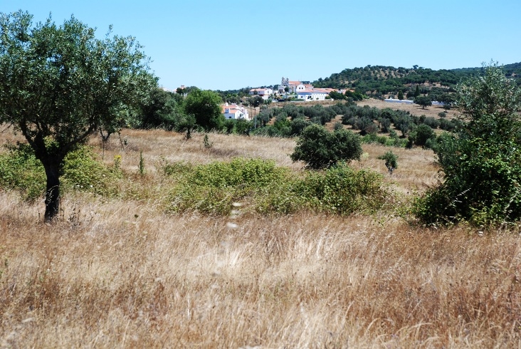 Imagem panormica de parte da serra do Monfurado, com a localidade de N. Senhora da Boa-F em destaque.